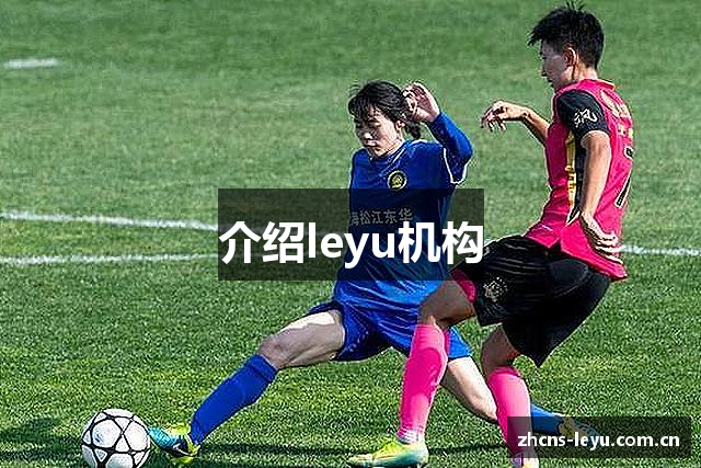 介绍leyu机构